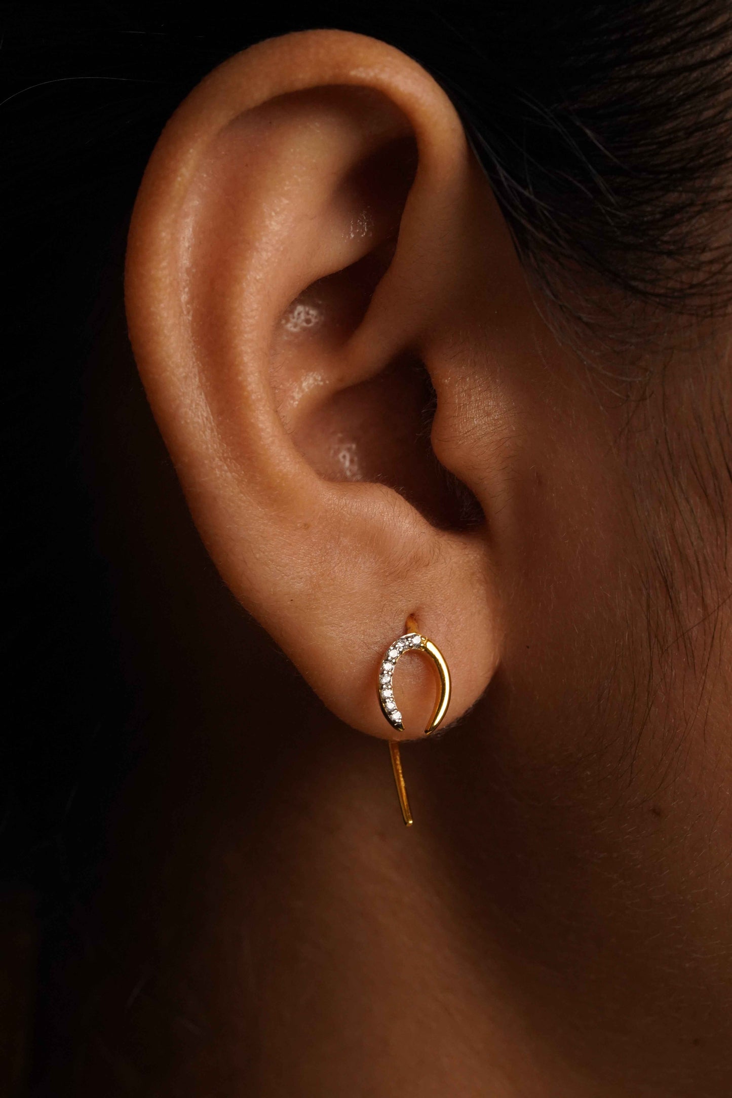 Horse Shoe Hoop Earrings