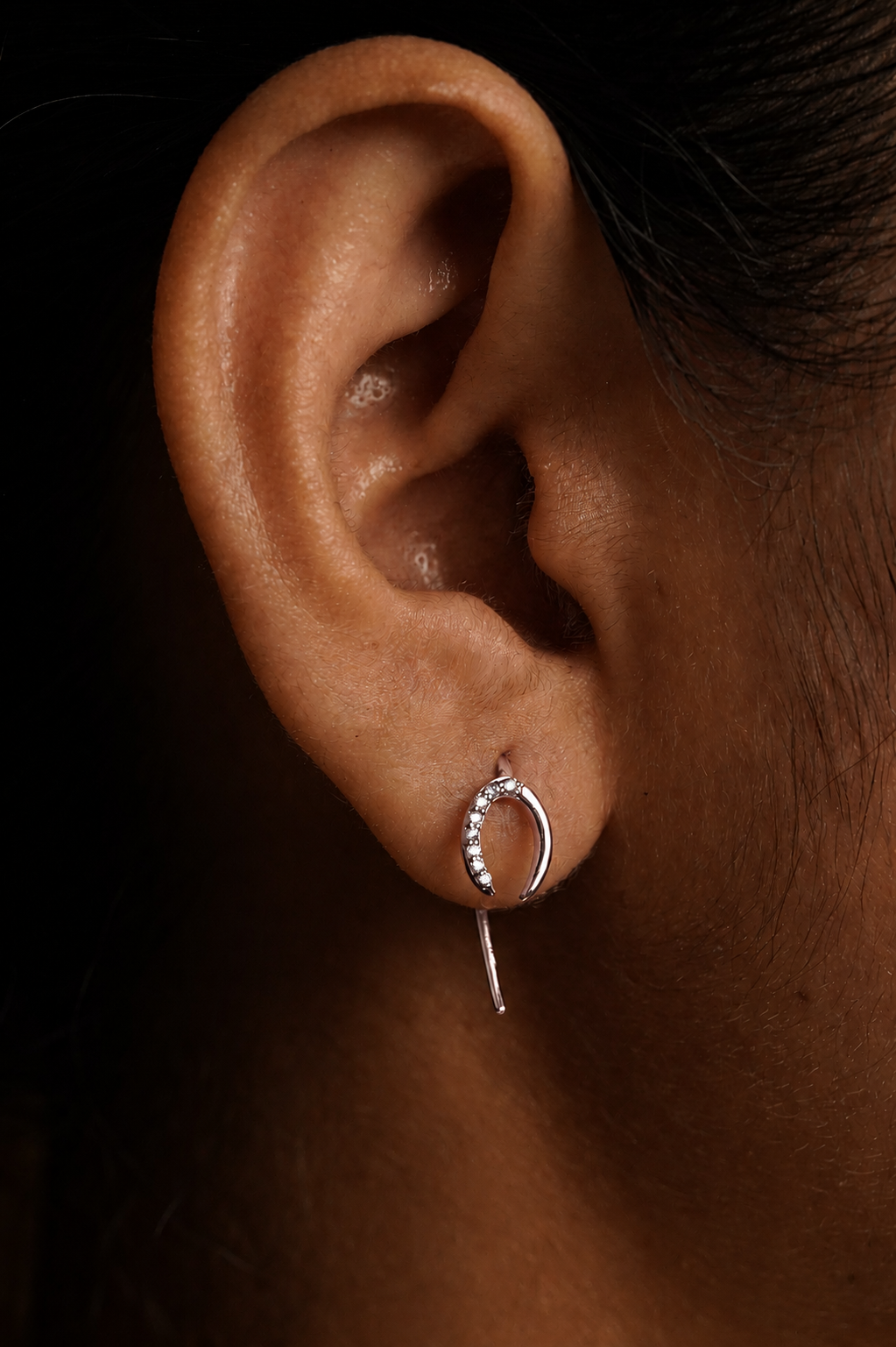 Horse Shoe Hoop Earrings