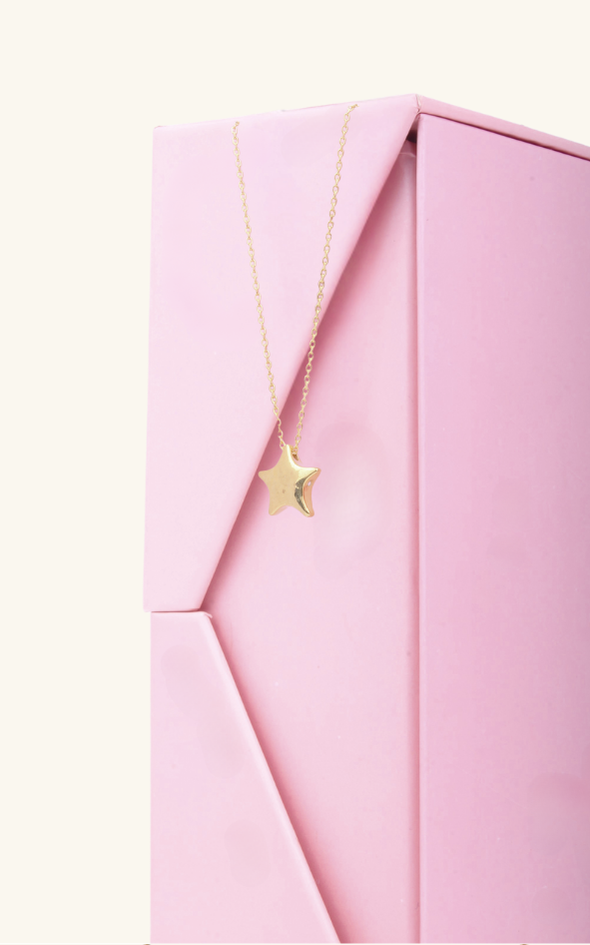 Solid Mini Star Necklace