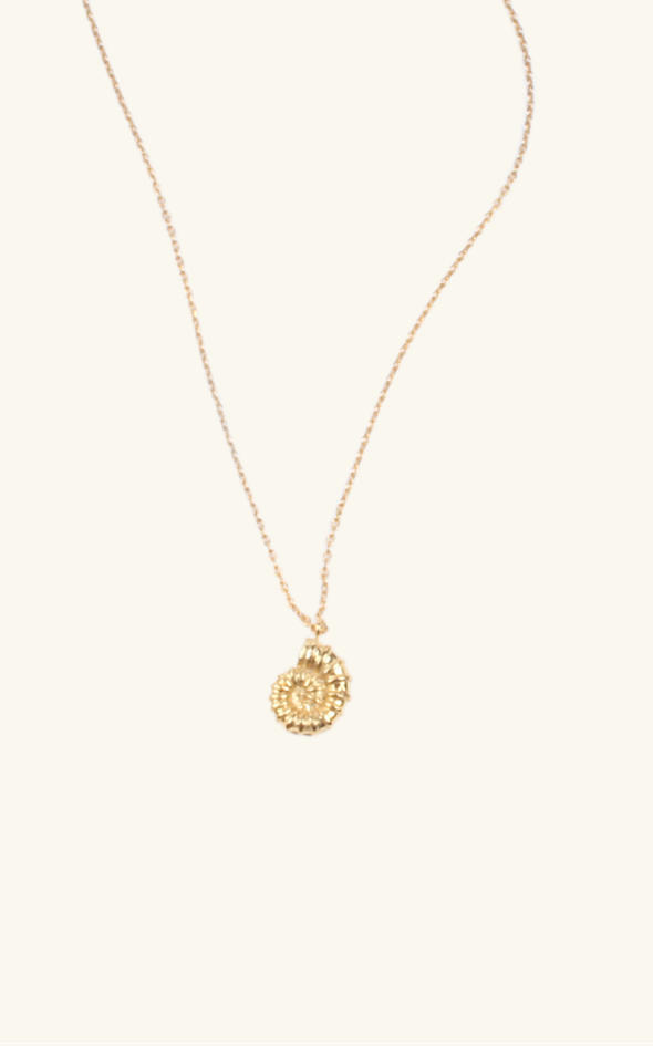 Spiral shell Pendant