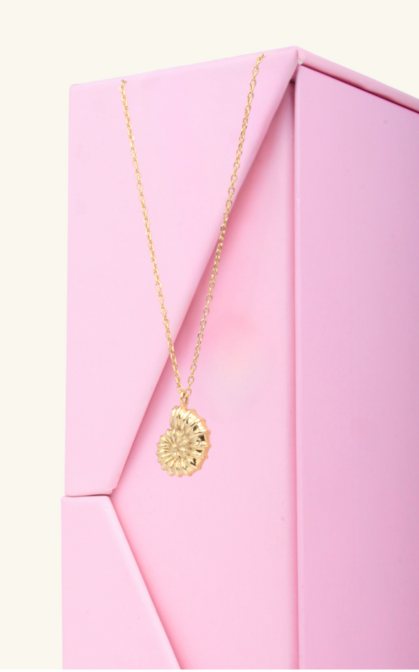 Spiral shell Pendant