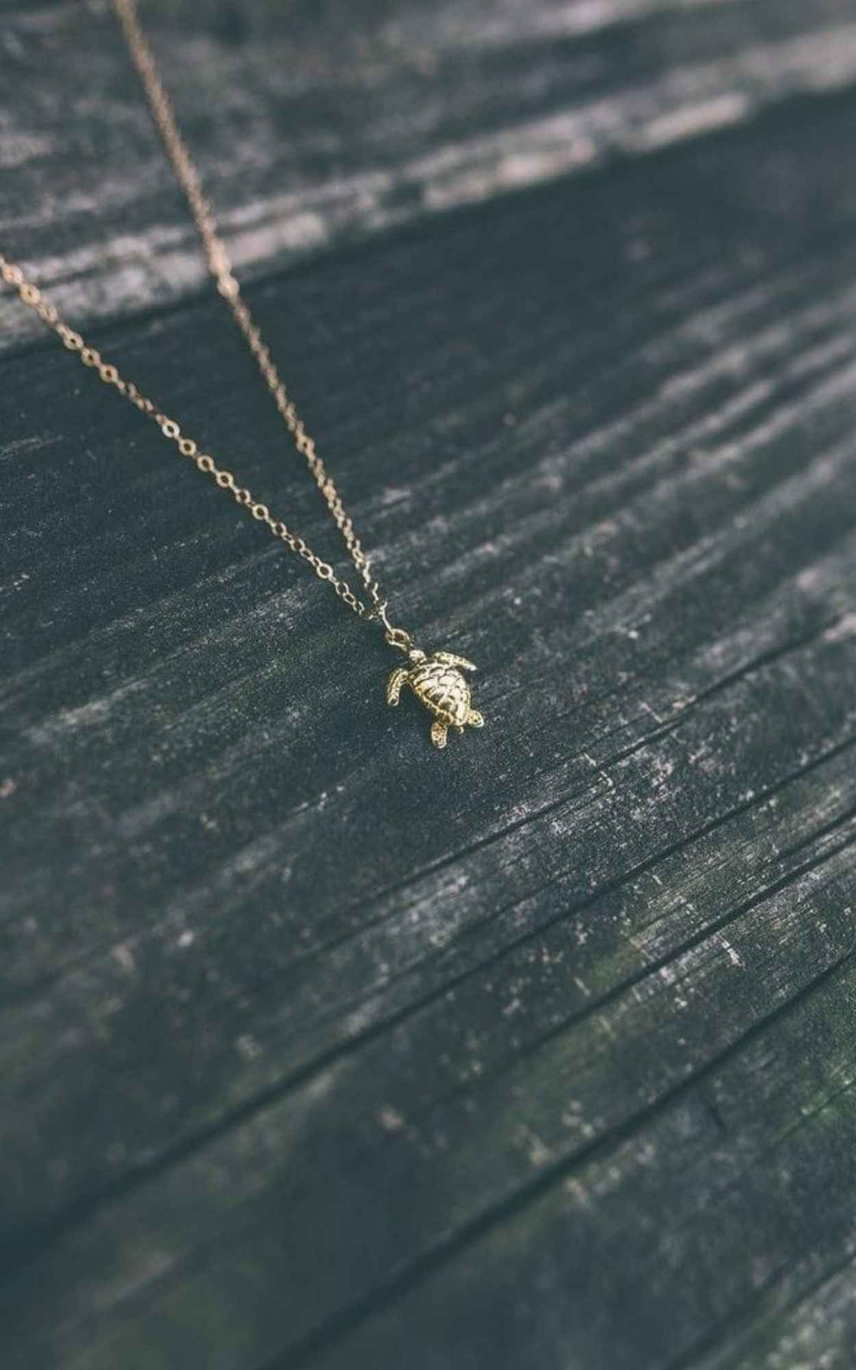 Turtle Necklace