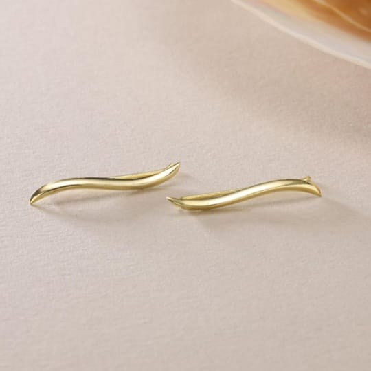 Sleek Earrings