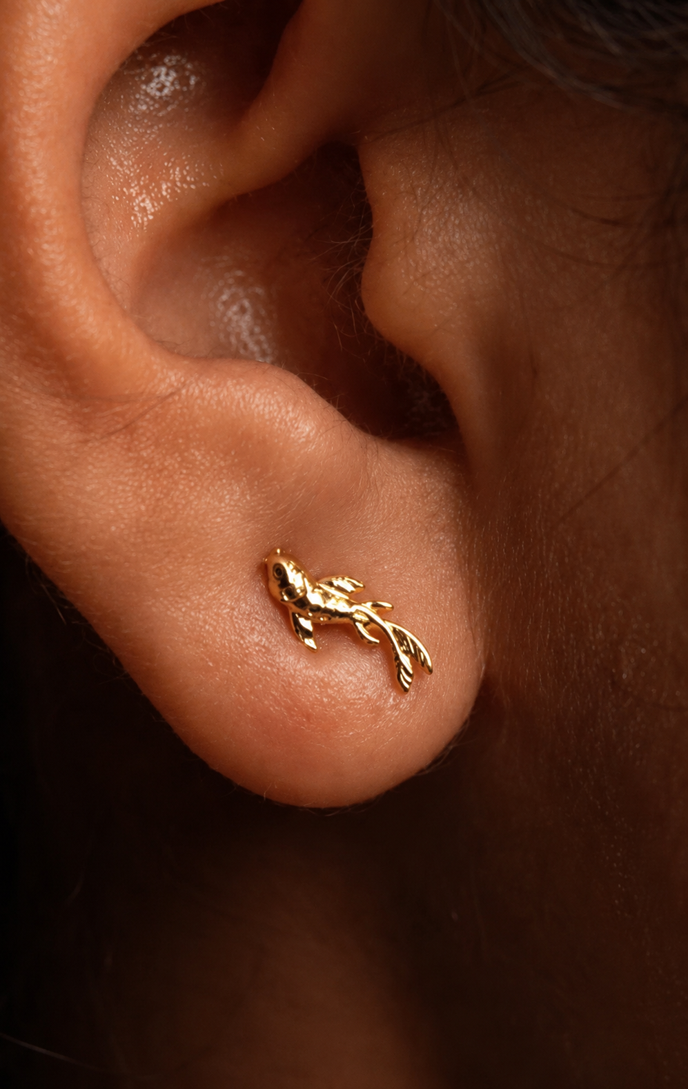 Boucles d'oreilles Junipurr